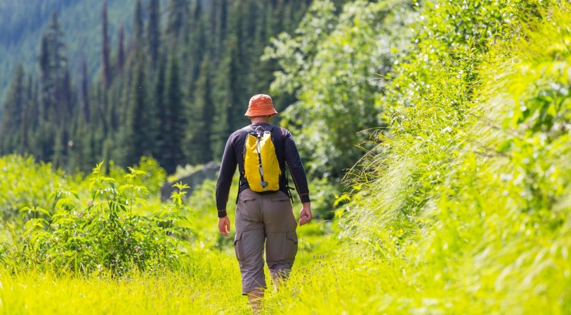 How to Be More Mobile This Summer in Asheville