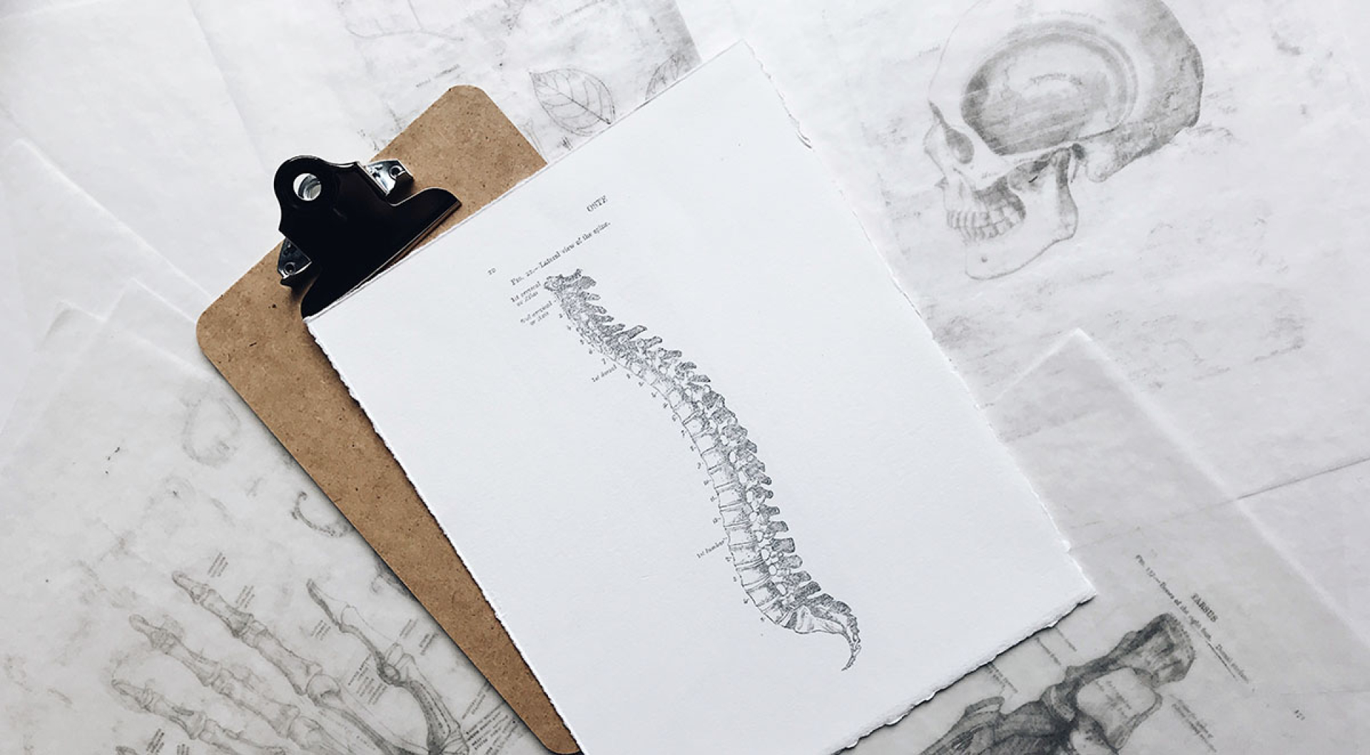 15 Unexpected Benefits of Chiropractic Care